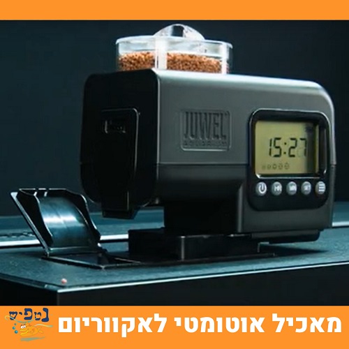 מאכיל אוטומטי לדגים